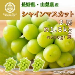 [最短順次発送]   シャインマスカット 3房 約1.8kg 約600g x3 長野県 山梨県産 マスカット ぶどう 高糖度 ギフト 贈答用 通販 秋の味覚