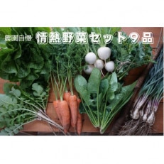 農園自慢の情熱野菜セット9品(種類おまかせ)