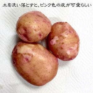 ふるさと納税 じゃがいも（さやあかね）無農薬・無肥料・自然栽培・北海道産_I007-0481 北海道白糠町