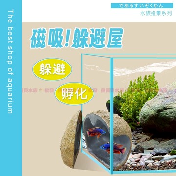 水族【可觀察👀磁吸躲避屋】魚蝦躲藏+孵化屋 孵化盒 繁殖盒 繁殖甕 孵化器 魚〞躲避洞 蝦屋 魚類繁殖  螯蝦 魚缸裝飾