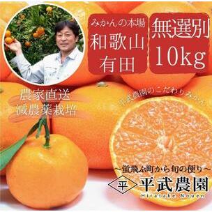 ふるさと納税 有田みかん 家庭用10kg  平武農園 農家直送 和歌山県有田川町