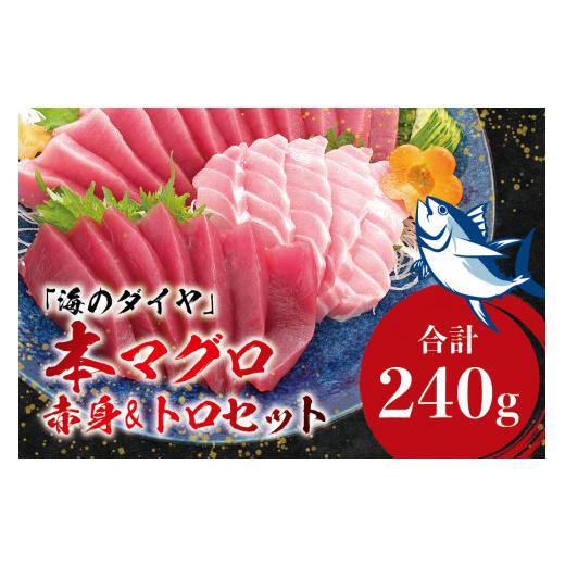 ふるさと納税 和歌山県 すさみ町 本マグロ（養殖）トロ＆赤身セット 240g 高級 クロマグロ  中トロ 中とろ  まぐろ マグロ 鮪 刺身 赤身 …