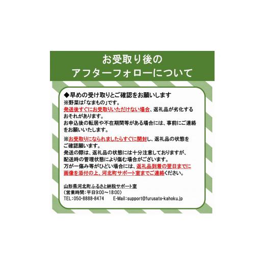 ふるさと納税 山形県 河北町 かほくイタリア野菜 旬のおまかせBOX（約8〜10種類）野菜の説明おしゃれな料理が簡単に作れちゃうレシピ付き♪