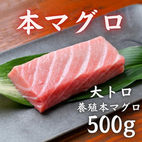 本マグロ 大トロ 500g