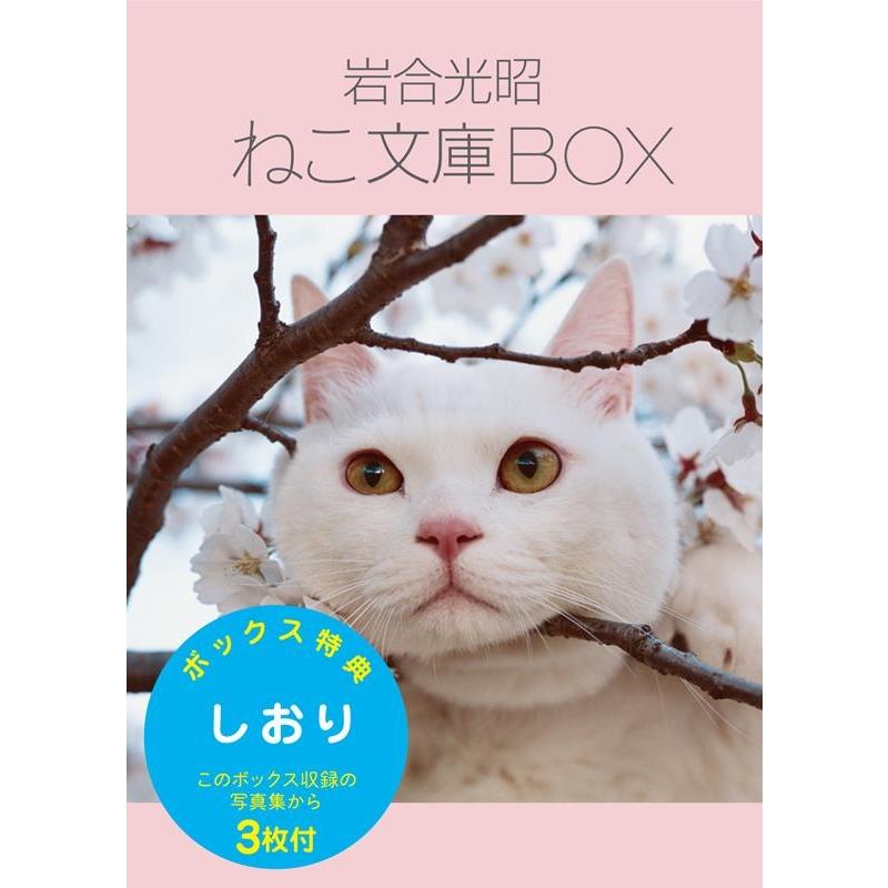 岩合光昭ねこ文庫BOX 6巻セット 岩合光昭