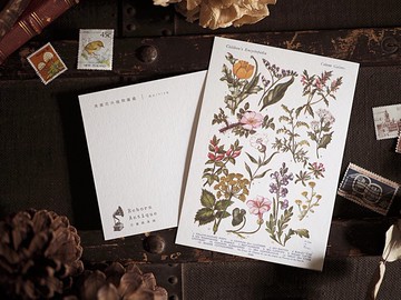 英國1910年百科圖鑑 復刻版明信片 E款