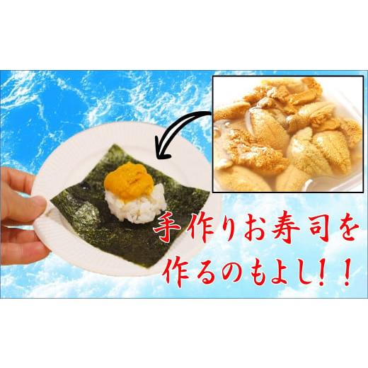 ふるさと納税 岩手県 大槌町 天然生うに100g ［05］