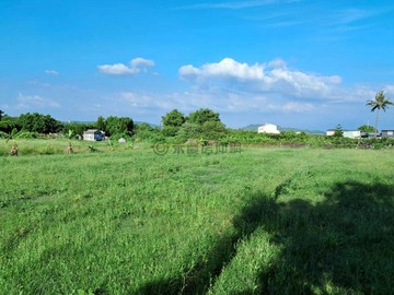 岡山灣裡段近捷運站都內6.5分農地｜高雄市岡山區灣裡段