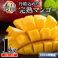 「秀品」丹精込めた完熟マンゴー1kg　2玉～3玉