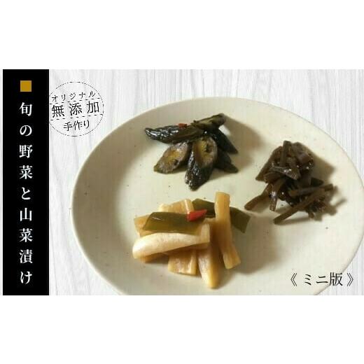 ふるさと納税 岩手県 一関市 ふるさとの漬物・惣菜セット　やまあい母さんのまごころ便（ミニ版）