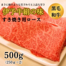 伊予牛絹の味　すき焼き用ロース　500g(250g×2)