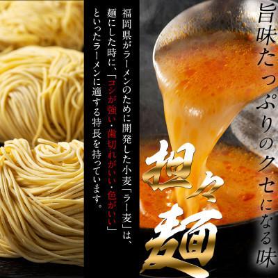 ふるさと納税 岡垣町 福岡県産ラー麦麺×5種類のスープ食べ比べセット5人前!(豚骨・醤油・塩・担々麺・味噌)(岡垣町)