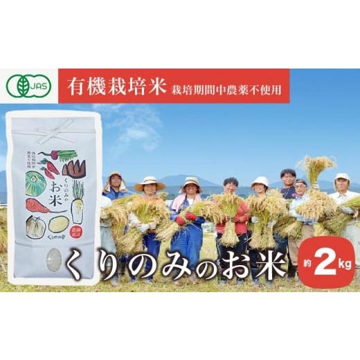 ふるさと納税 長野県 小布施町 ［有機栽培米］くりのみのお米 約2kg ［くりのみ園］お米 米 おこめ 2キロ 長野県産 白米 信州 オーガニック 栽培期間中農薬不…