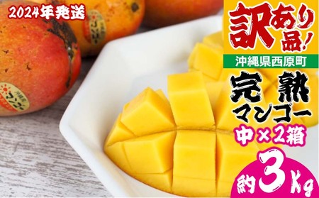 訳あり品！西原町　完熟マンゴー（中×２箱）約3kg