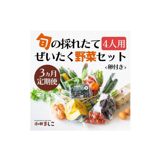 ふるさと納税 栃木県 益子町 AA006＜3ヶ月定期便＞旬の採れたてぜいたく野菜セット（卵付き）4人用