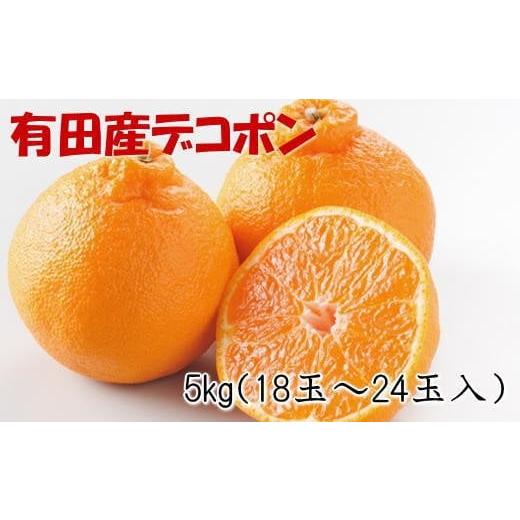 ふるさと納税 和歌山県 古座川町 紀州有田産 の デコポン 5kg (18玉〜24玉入り・青秀以上) 先行予約 ※2024年1月下旬〜3月下旬頃順次発送(お届け…