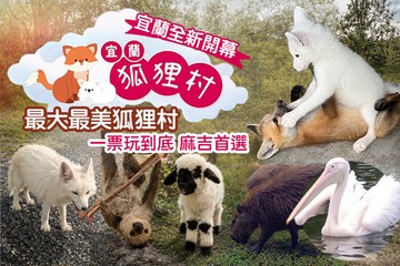 【宜蘭】宜蘭狐狸村 #GOMAJI吃喝玩樂券#電子票券#親子/休閒