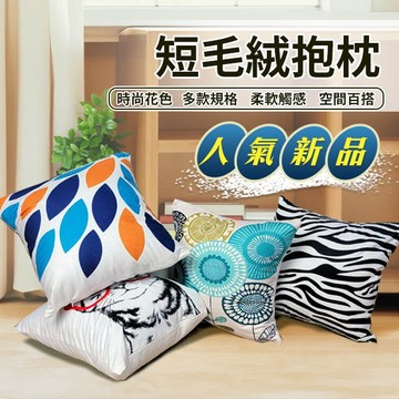 短毛絨抱枕  AB版設計  多尺寸 多款時尚花色 好評全新上市  親膚柔軟 客廳 臥室 書房 空間百搭 居家佈置好物