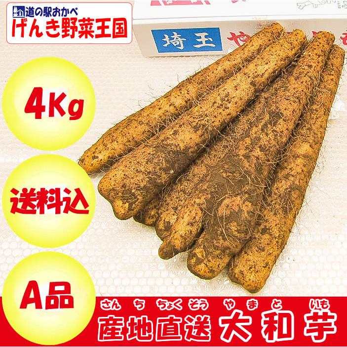 本場 大和芋4Kg A品