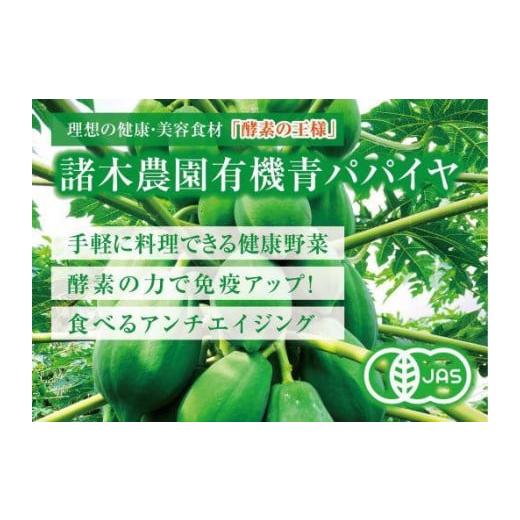 ふるさと納税 鹿児島県 大崎町 鹿児島県産有機青パパイヤ　約5kg（5〜10玉）