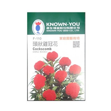 【向花緣】農友 頭狀雞冠花 - 花卉種子