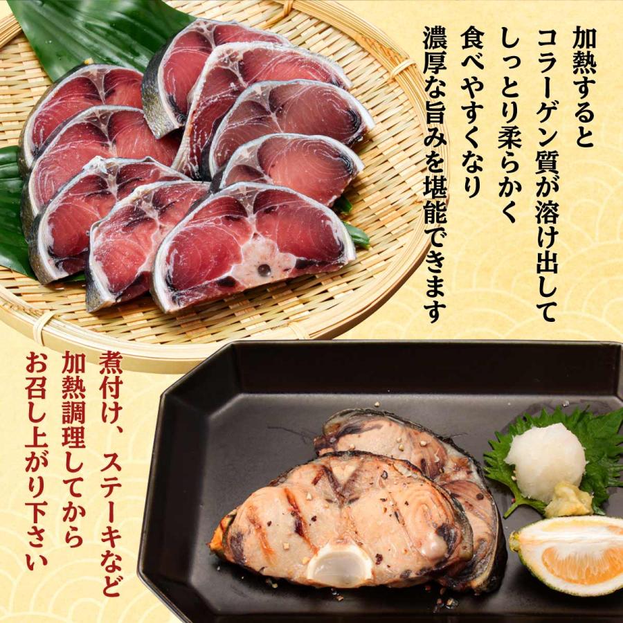 送料無料 [新洋水産 (薩摩串木野まぐろの館 )] 詰合せセット 薩摩串木野 まぐろの館 マグロづくしセットA  まぐろ 詰め合わせ 島平松栄丸 期間限定 特別価格