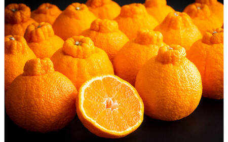 熊本県産デコポン 約5kg 蜜柑 みかん 柑橘 果物 くだもの フルーツ