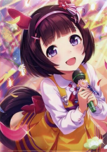 NISHINO花即使只有很小的花蕾文件夾vol.5賽馬娘Pretty Derby