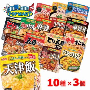 丸美屋　ごはん付きシリーズ　10種×各3個（合計30個）レトルトごはん　レトルト食品