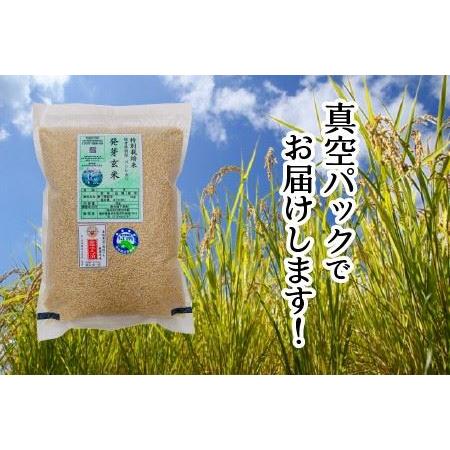 ふるさと納税 無農薬 福井県産 コシヒカリ特選 真空パック 3kg  〜玄米以上の栄養価と白米に近い柔ら.. 福井県坂井市