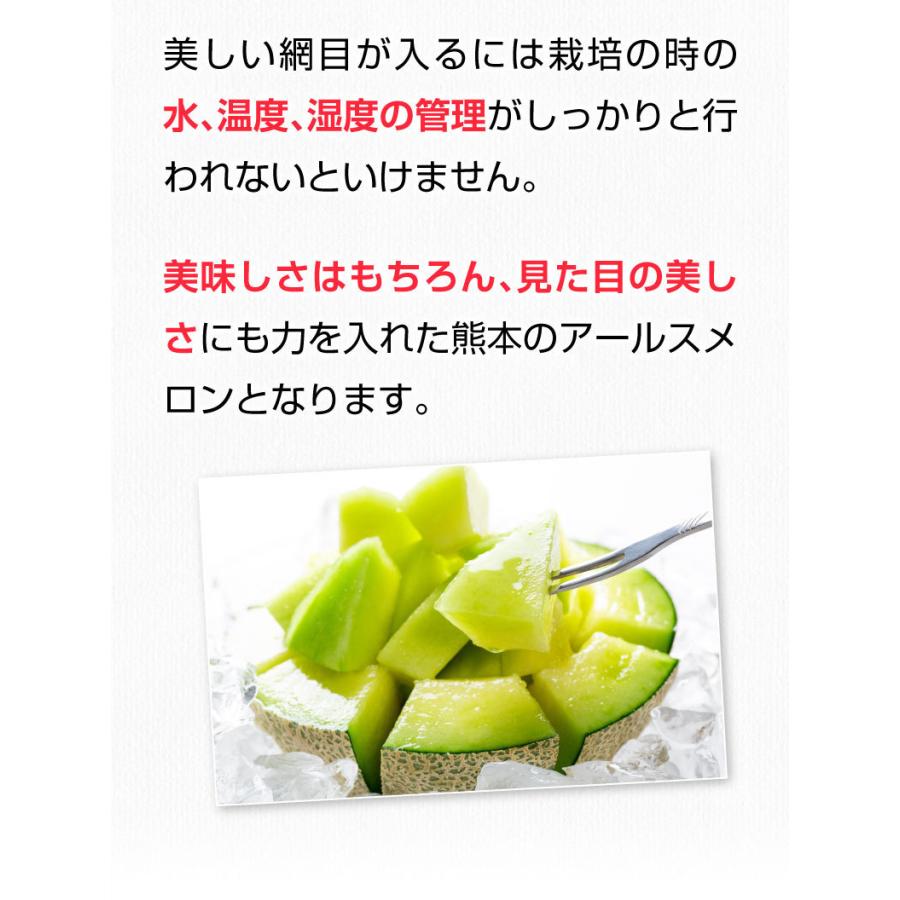 御中元 九州  メロン アールスメロン 秀品 ２L ２玉 熊本県産 温室 送料無料 高級メロン 産直 フルーツ 果物 甘い S常