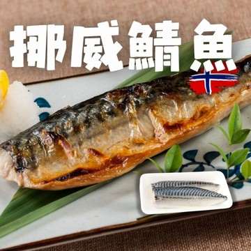 【出清價售完不補】頂級正信揚挪威鯖魚片 鯖魚片 (80/100g) 最後22片