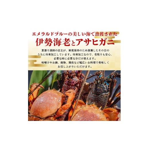 ふるさと納税 鹿児島県 和泊町 ■沖永良部島直送！素潜り漁師オススメの伊勢海老２キロ（２〜６匹）とアサヒガニ２キロ（４〜８杯）　合計４キロセット！！