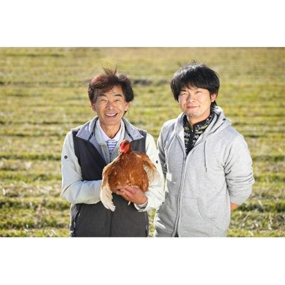 ふるさと納税 四万十町 ベジタブル鶏卵!(茶卵)　(6個入×2パック入)