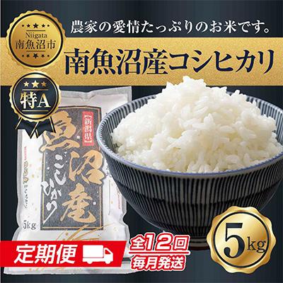 ふるさと納税 南魚沼市 新潟県 南魚沼産 コシヒカリ お米 5kg 精米 (美味しい炊き方ガイド付き)全12回