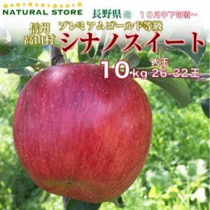 [予約 10月10日-11月30日の納品]  プレミアムゴールド限定 シナノスイート 10kg りんご 長野県 信州高山村 さわやかりんご とびっきり JA