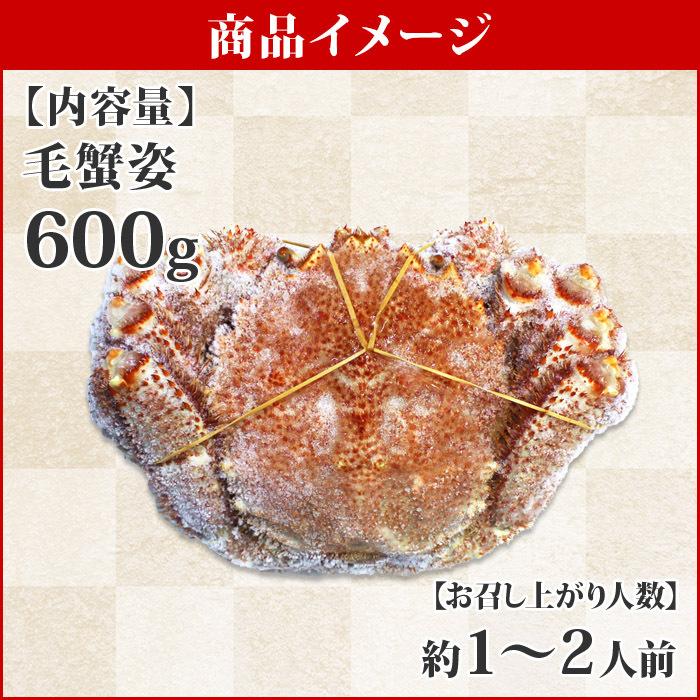 御歳暮 北海道 毛蟹 600g かに ボイル カニ ギフト 蟹 姿 海鮮 毛ガニ