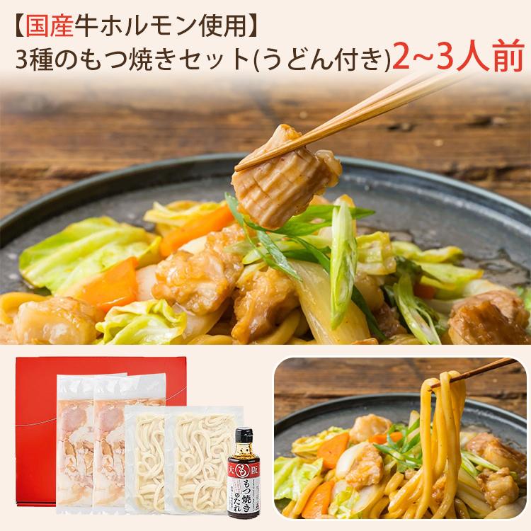 国産牛 もつ焼き うどん付き 2〜3人前セット 崔家の健美鍋 国産 牛ホルモン お歳暮 のし対応可