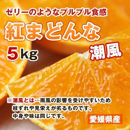 お得家庭用まどんな5キロ大きさ不揃い（防腐剤なし）