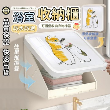 【台灣現貨】壁畫收納箱 浴室收納箱 折疊收納箱 壁掛收納箱 壁掛置物架 壁掛收納盒 浴室收納櫃 浴室壁掛收納架