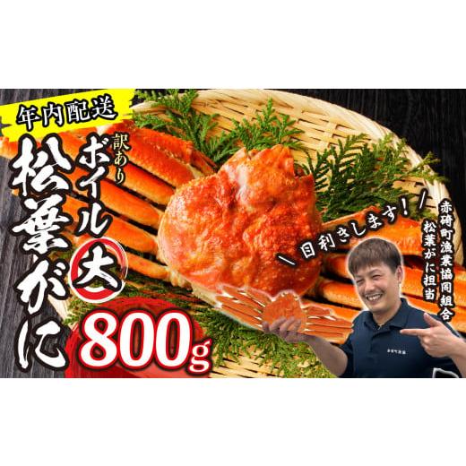 ふるさと納税 鳥取県 琴浦町 1.松葉ガニ（ボイル）大1枚　約800ｇ※着日指定不可※北海道、沖縄、一部離島への配送不可《ずわいがに…