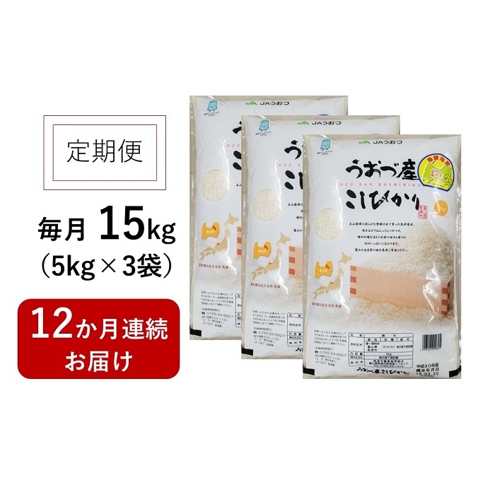 定期便 米 15kg (5kg×3袋) 12ヶ月 コシヒカリ 富山 魚津産 こめ コメ お米 おこめ 白米 精米 12回 お楽しみ