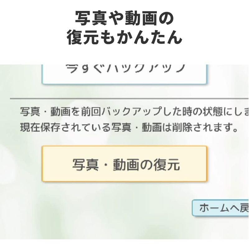 バッファロー おもいでばこ PD-2000 シリーズ 専用 安心 バックアップ