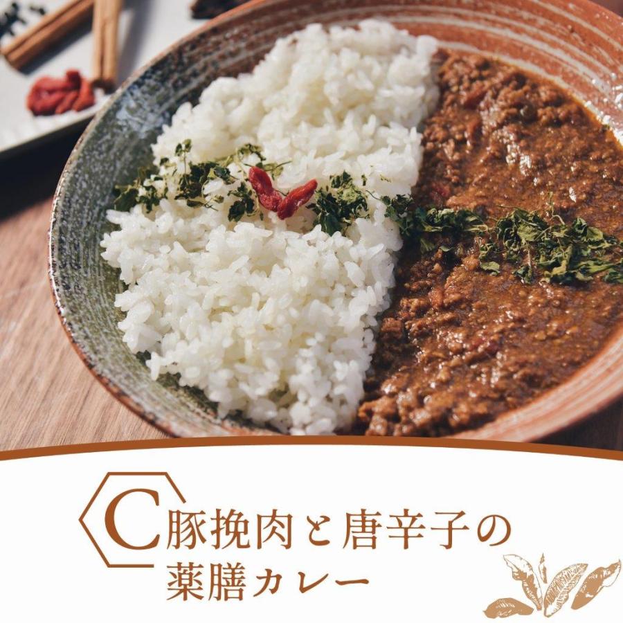 豚挽肉と唐辛子の薬膳カレー