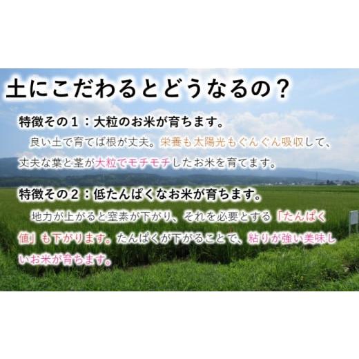 ふるさと納税 秋田県 にかほ市 〈定期便〉 あきたこまち＆ひとめぼれ 食べ比べ 白米 10kg（各5kg）×11回 計110kg 11ヶ月 令和5年 精米 土づくり実証米 毎年11…