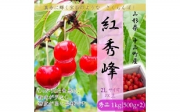 山形県中山町産 さくらんぼ＜紅秀峰＞秀品　500g×2P　約1kg　2Lサイズ以上