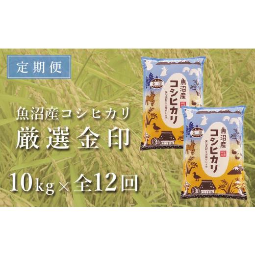 ふるさと納税 新潟県 津南町 ＜令和5年産新米＞魚沼産コシヒカリ「金印」高食味米 10kg×全12回（12ヶ月連続お届け）