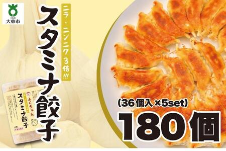 大阪ふくちぁんスタミナ餃子 冷凍生餃子 180個 ［36個入×5セット］