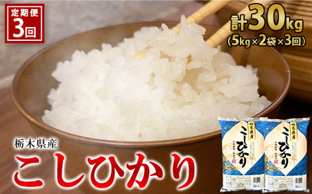 栃木県産こしひかり（精米・5kg×2袋） ※着日指定不可 ※離島への配送不可