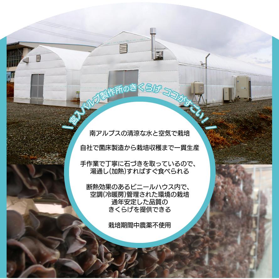 南アルプス 乾燥きくらげ 1袋 10g入り 3袋セット 山梨県産 宮入バルブ製作所